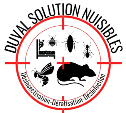 Deratisation Normandie – Duval Solution Nuisibles